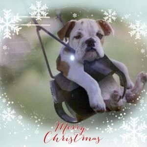 Meet your Posher, Wendy